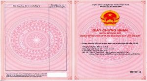 giai dap so hong la gi