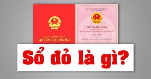 so do la gi va thong tin lien quan