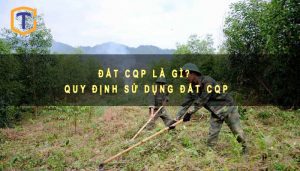 Đất CQP là gì