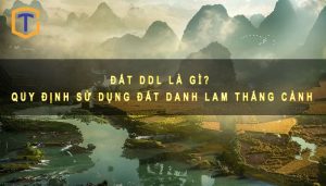 Đất DDL là gì?