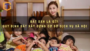 Đất DXH là gì