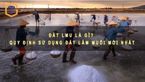 Đất LMU là gì