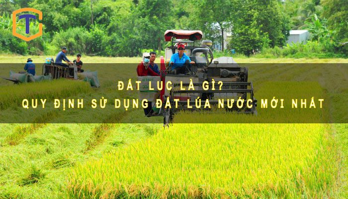 Đất LUC là gì? Quy định sử dụng đất lúa nước mới nhất 2023 1 Đất LUC là gì