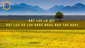 Đất LUK là gì