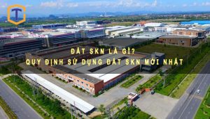 Đất SKN là gì