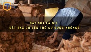 Đất SKX là gì