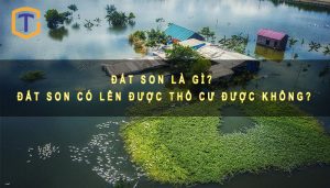 Đất SON là gì