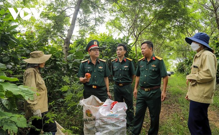 ky hieu dat cqp la gi