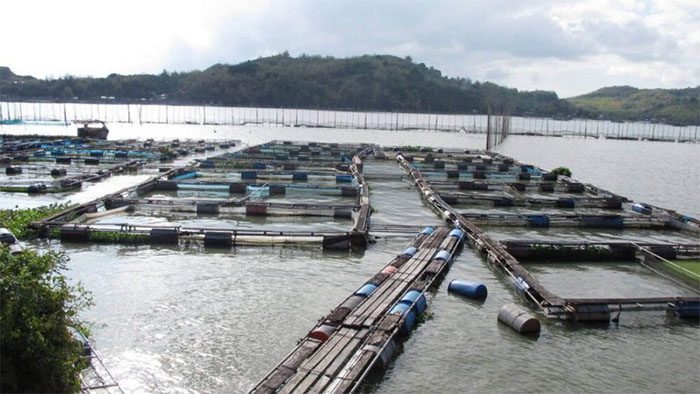 Đất MNC là gì? Quy định sử dụng đất có mặt nước chuyên dùng 2 ky hieu dat mnc la gi