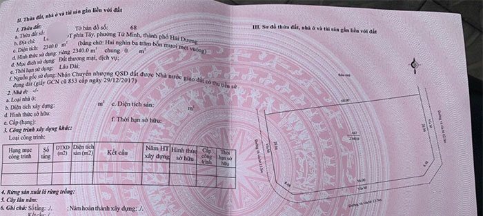 ky hieu dat tmd la gi