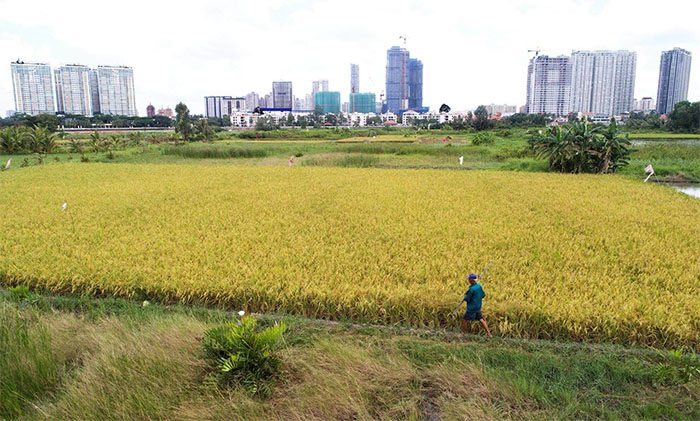 dat bhk co chuyen doi sang dat o duoc khong