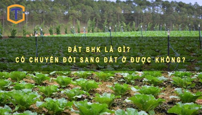 Đất BHK là gì