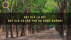 Đất CLN là gì