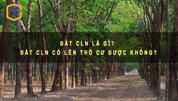 Đất CLN là gì