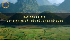 Đất DCS là gì