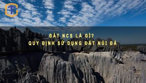 Đất NCS là gì