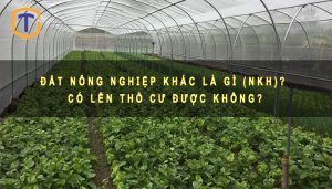 Đất nông nghiệp khác là gì (NKH)