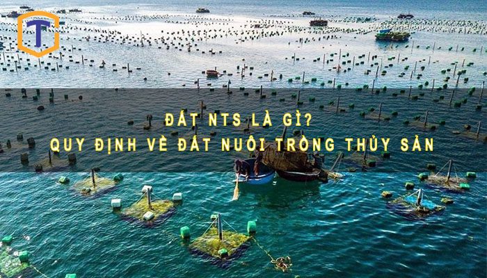 Đất NTS là gì?
