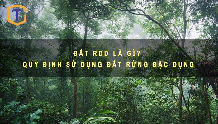 Đất RDD là gì