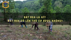 Đất RSX là gì