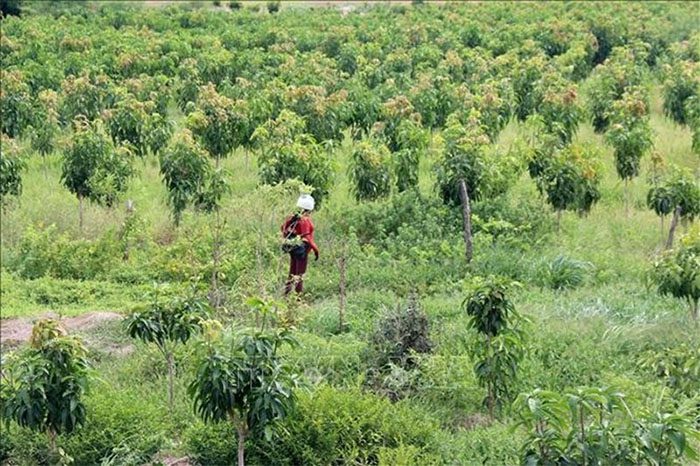 ky hieu dat bhk la gi