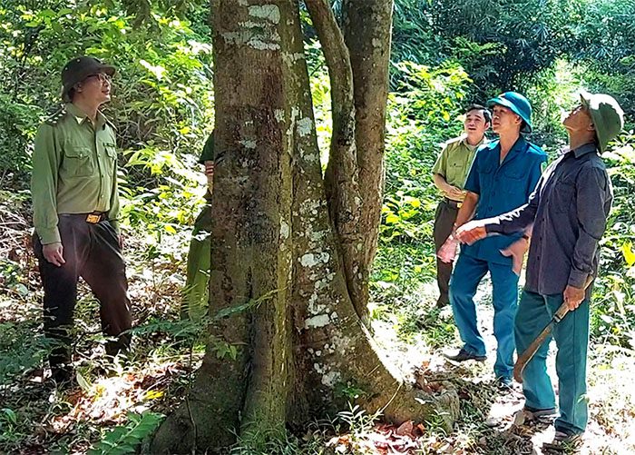 quy dinh chuyen nhuong dat rdd