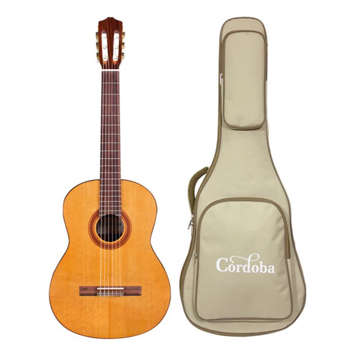 Mua đàn guitar nên chọn những thương hiệu nào