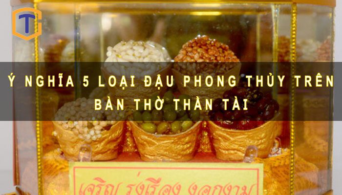 5 loại đậu Phong thủy