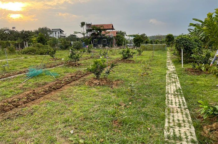 Có 50 triệu mua đất ở đâu tốt nhất hiện nay cho người ít vốn 3 50 trieu co nen mua dat chung khong