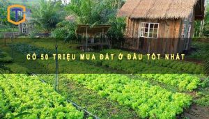 Có 50 triệu mua đất ở đâu tốt nhất