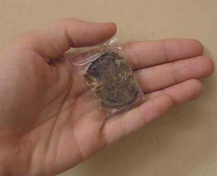 Công dụng của nhau mèo