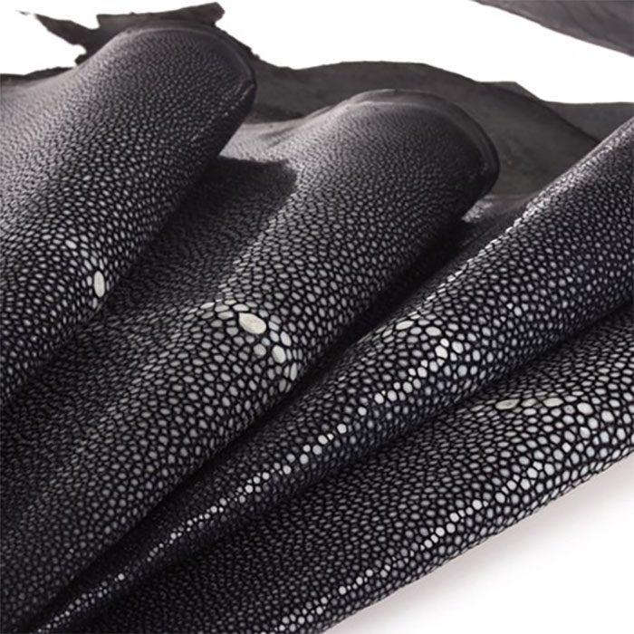 Da cá đuối là da gì