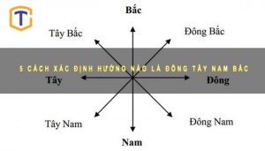 huong nao la dong tay nam bac
