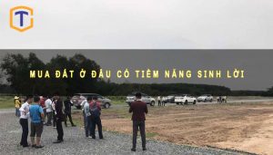 Mua đất ở đâu có tiềm năng