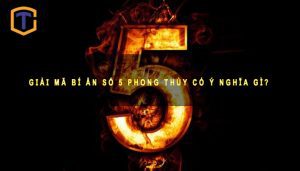 Số 5 Phong thủy