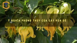Ý nghĩa phong thủy của cây hoa dẻ
